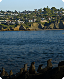 Sea lions on the rocks at the La Jolla coastline, in the San Diego County market served by Peninsula CRE Group